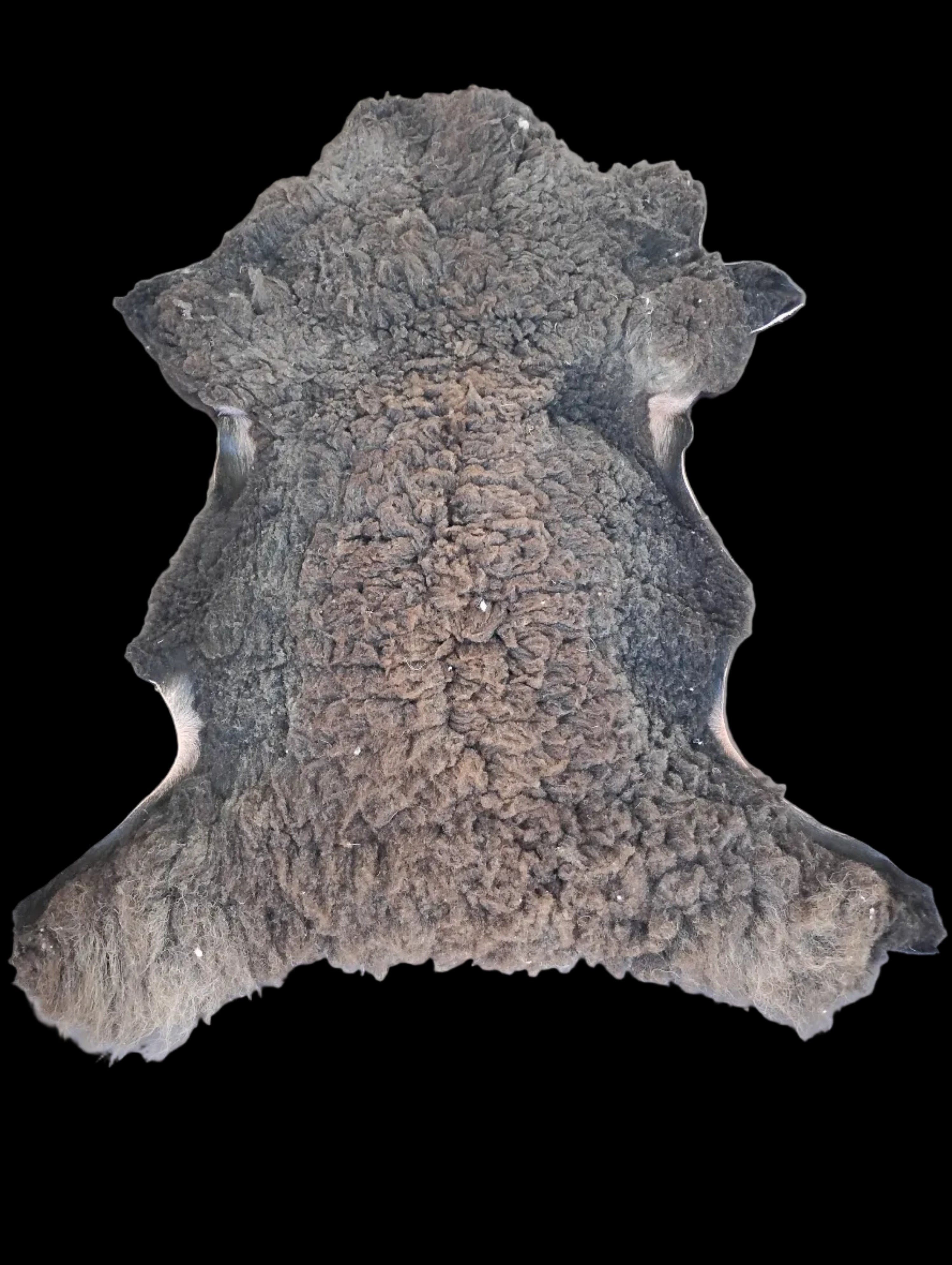 Bark tanned sheepskin 45 x 30 / springy short ti 2.6/3 inch wool