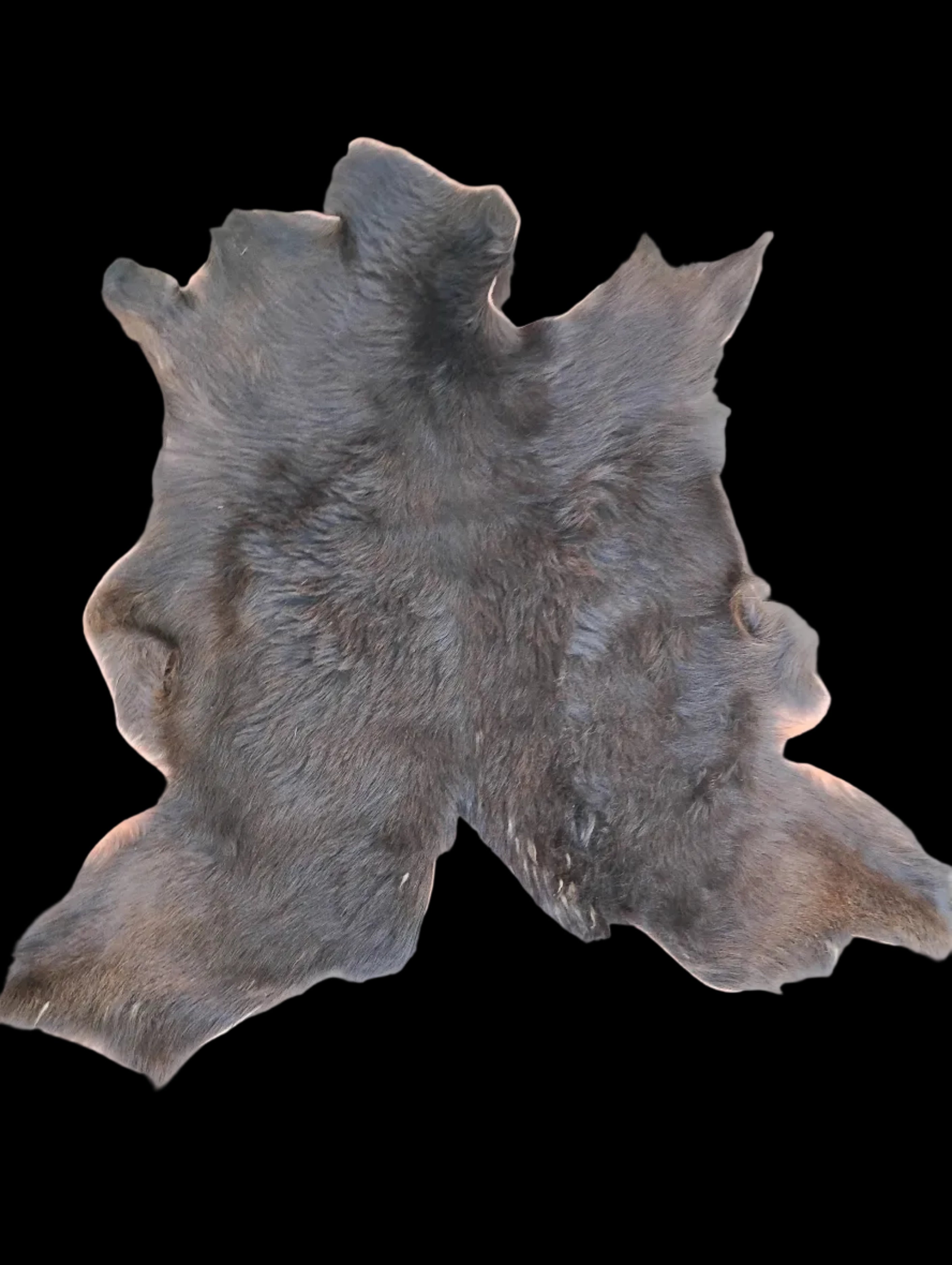 Bark tanned goatskin 37 x 30 / long strand hair