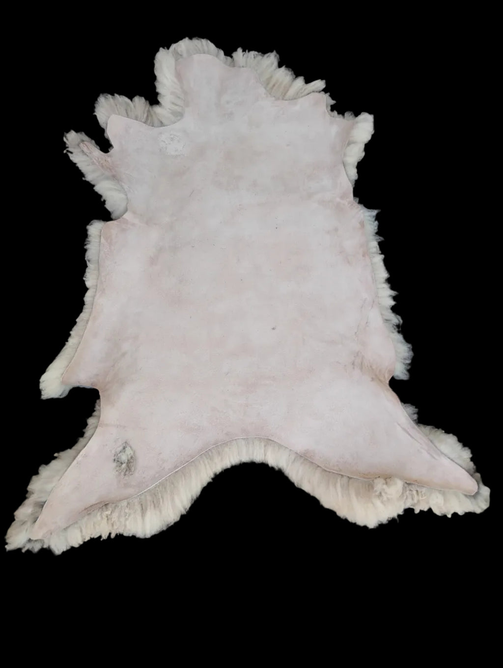 Bark tanned sheepskin 41 x 30 / dense soft wool 2 inch