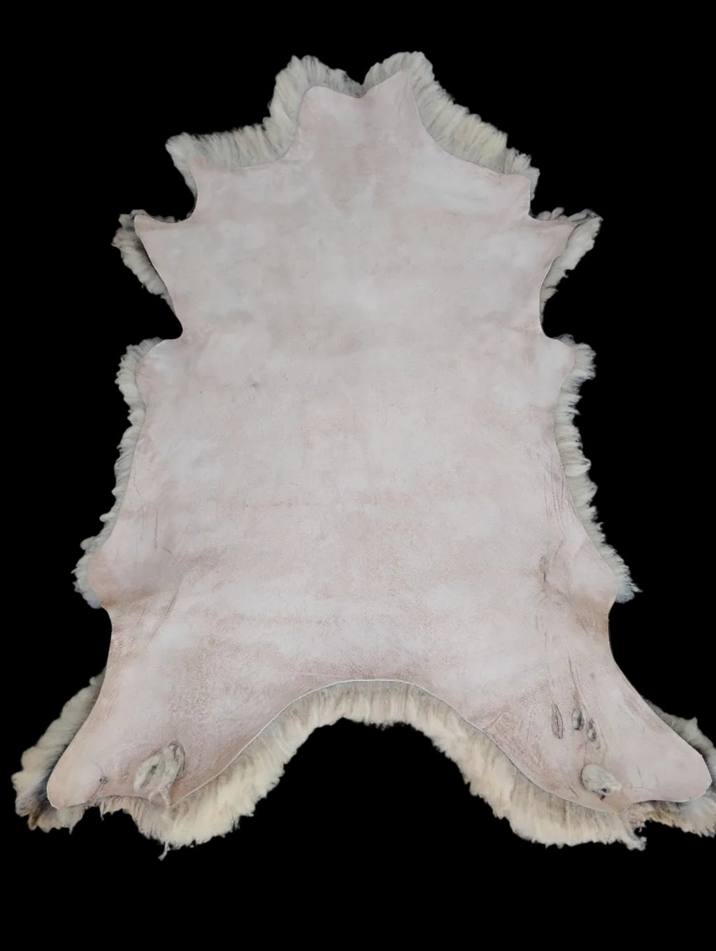 Bark tanned sheepskin 44 x 30 / dense soft wool 2 inch