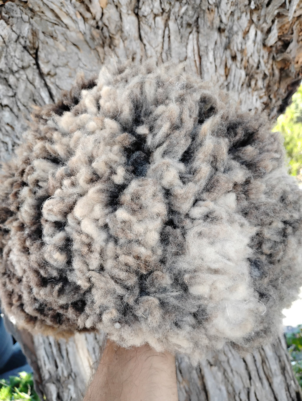 Classic hat Small wool side in (snug on 22.5 inch head)