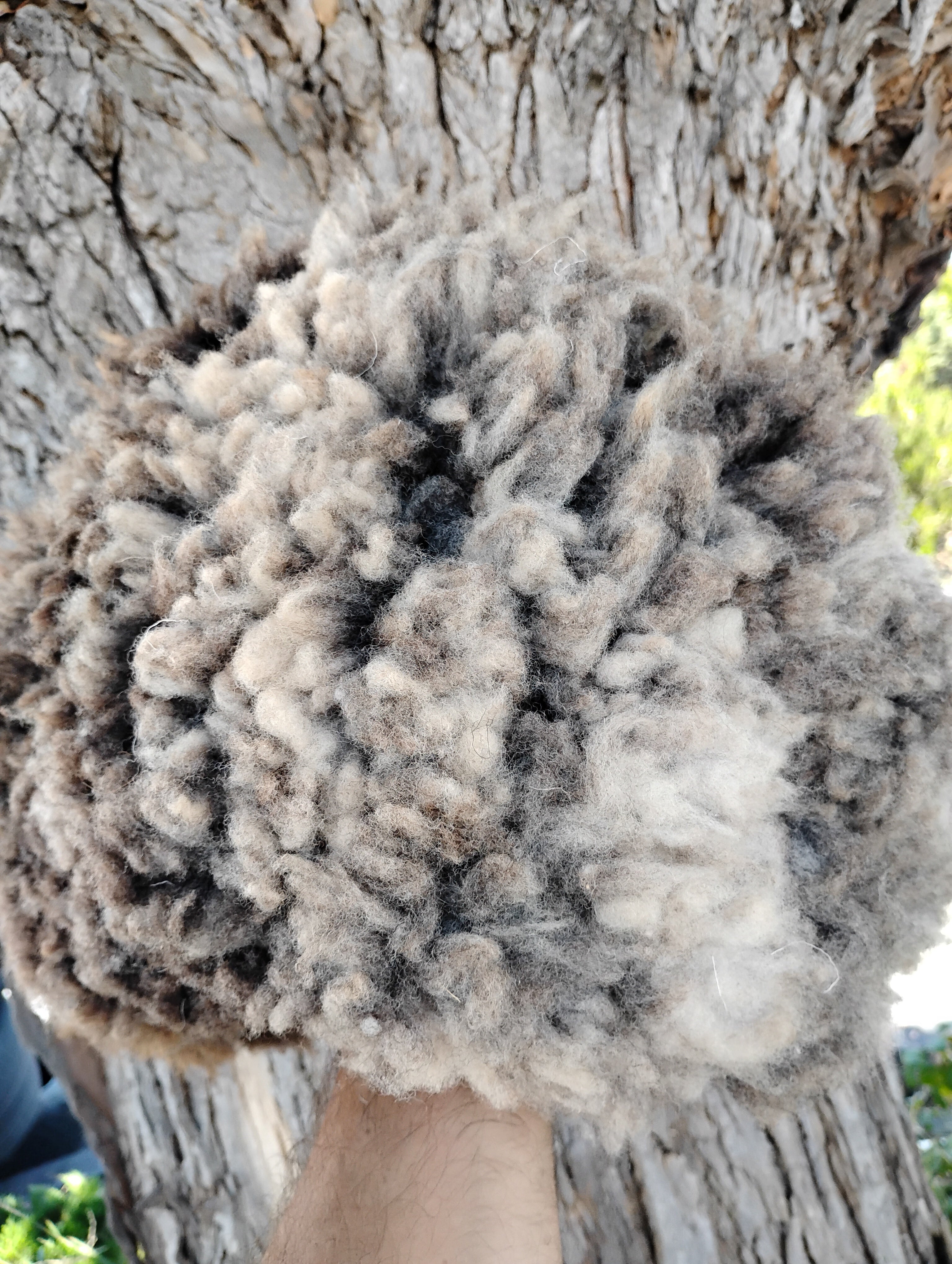 Classic hat Small wool side in (snug on 22.5 inch head)