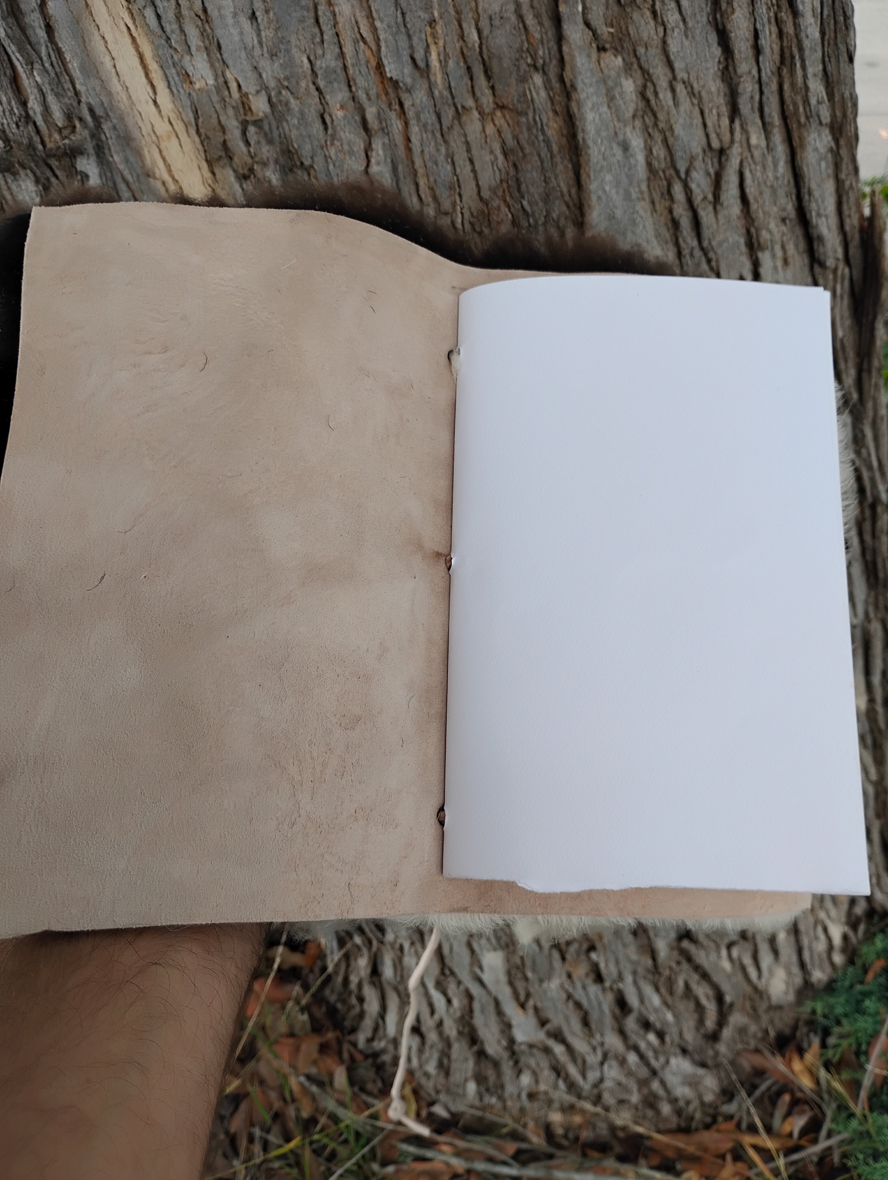 Bark Tanned Sheepskin Journal – 12×9 Refillable