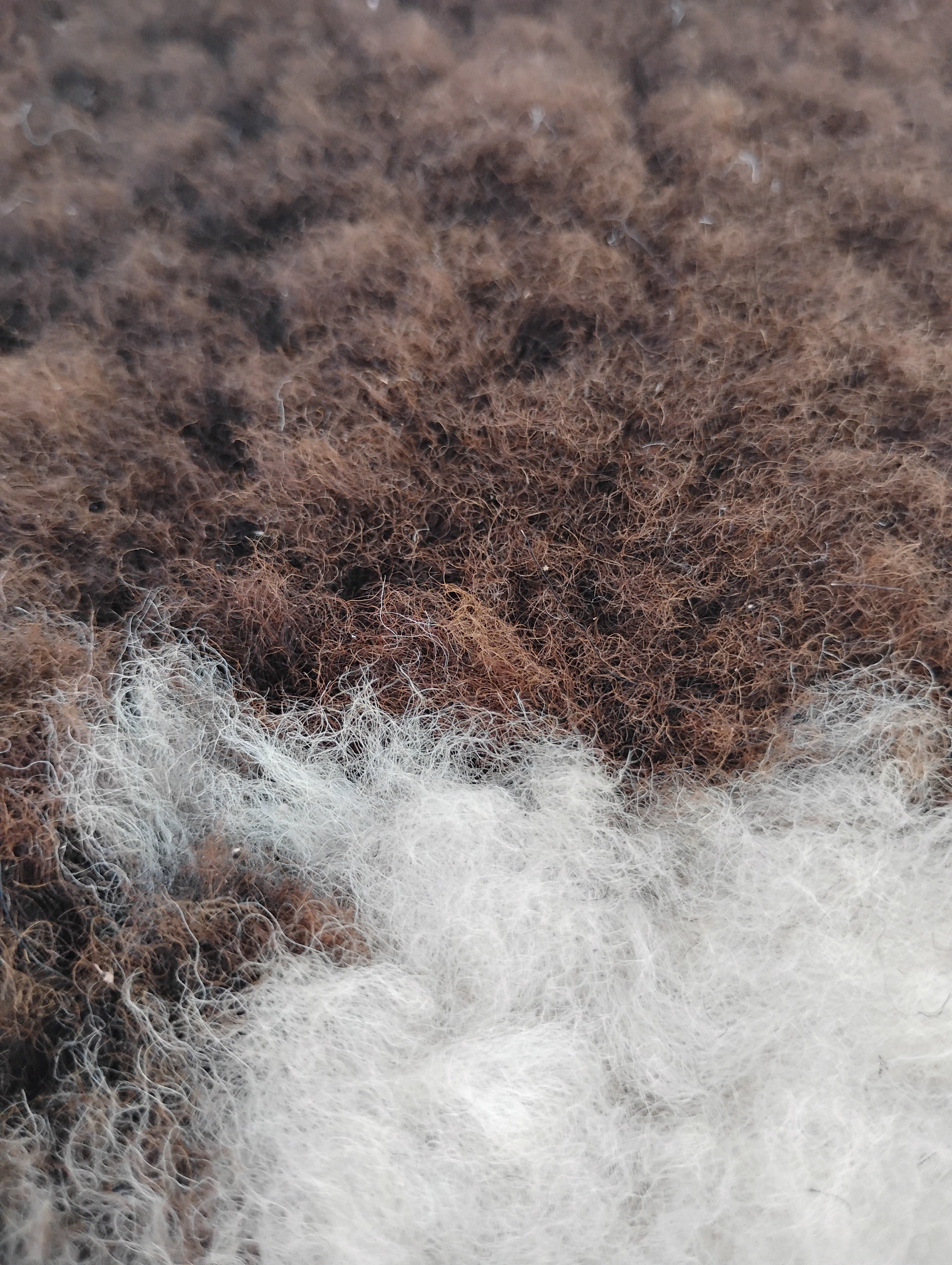 Bark tanned sheepskin 39 x 24 1.5 silky wool