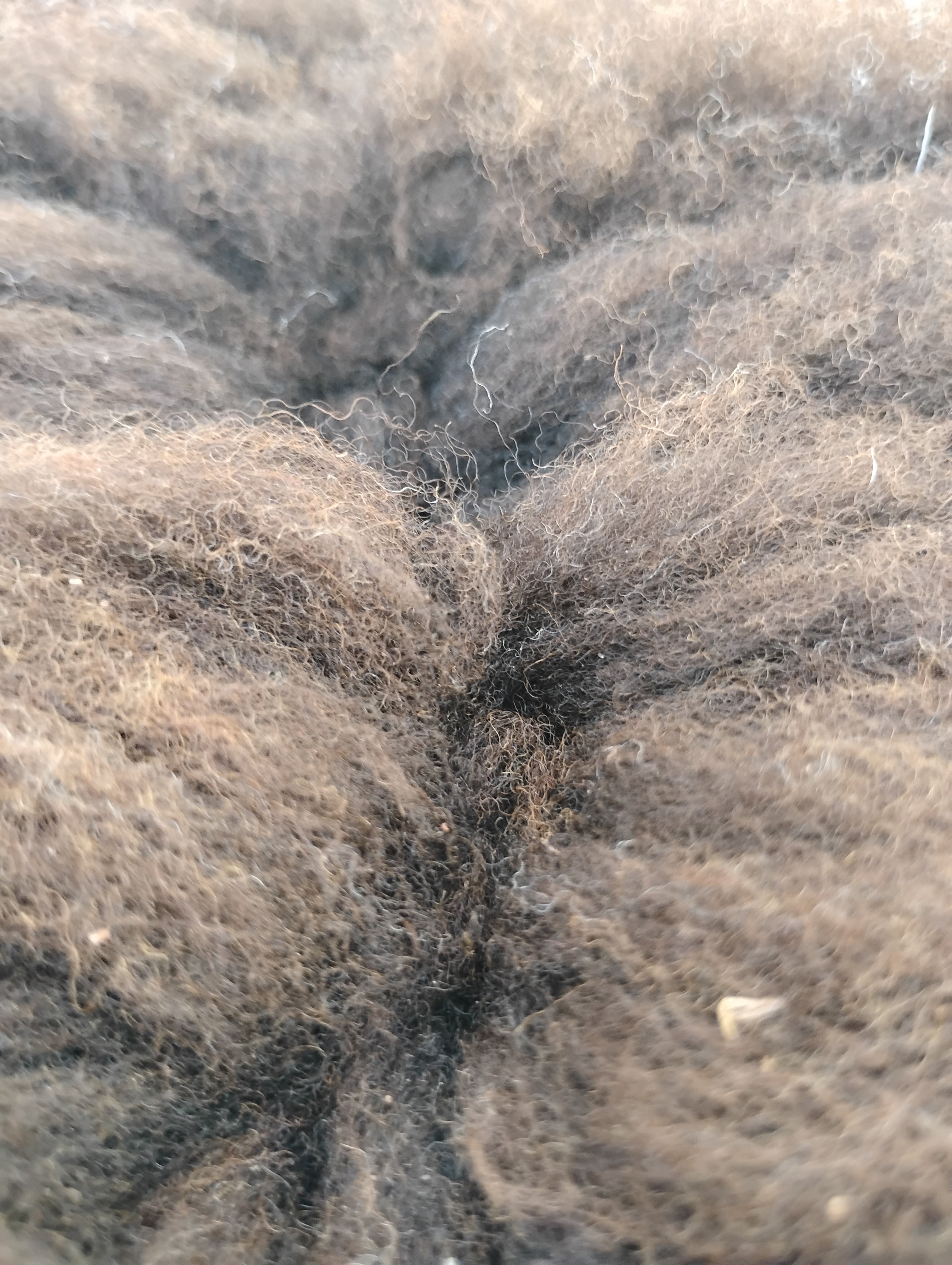 Bark tanned sheepskin 42 x 31 2.5 inch silky wool