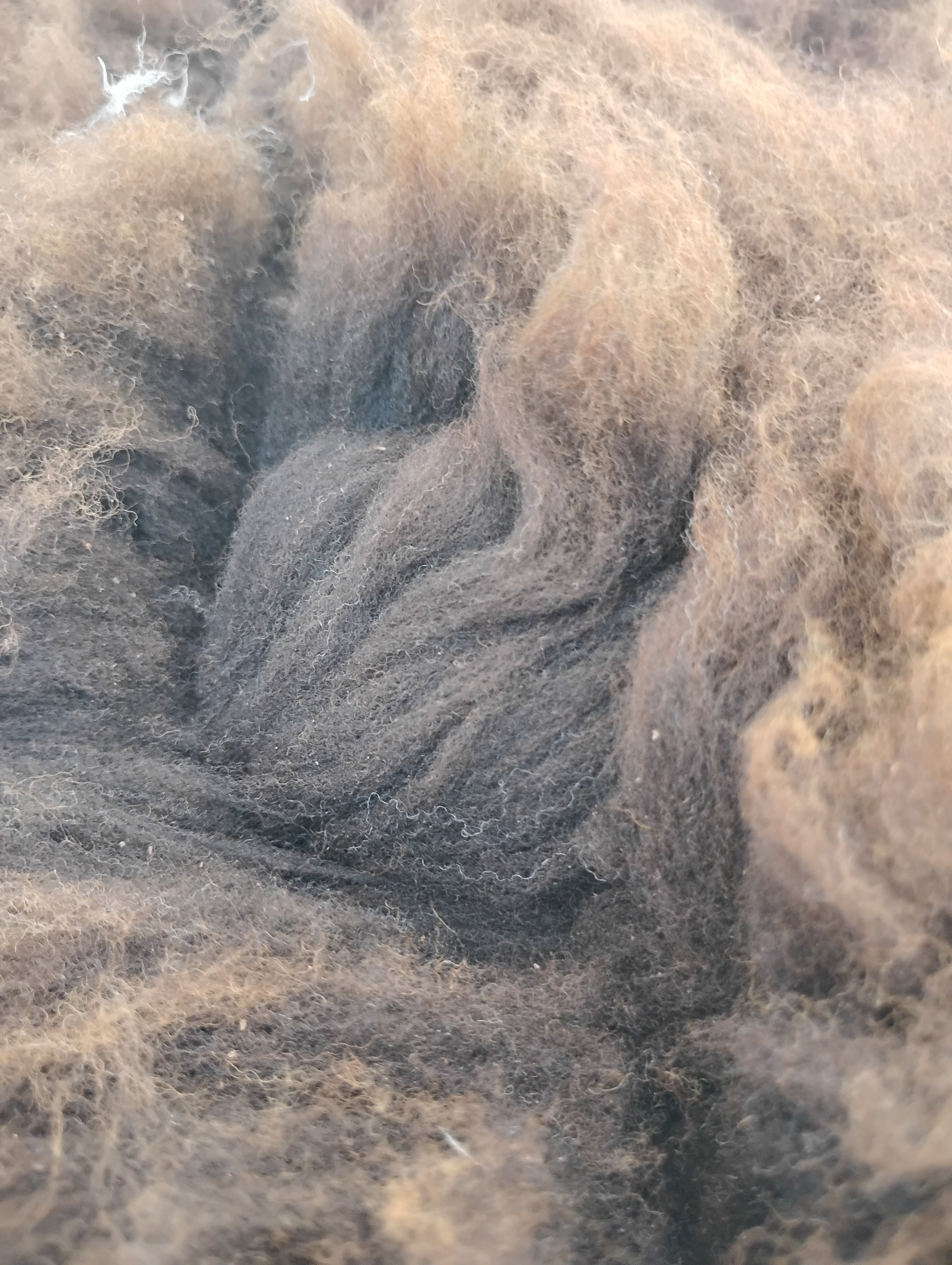 Bark tanned sheepskin 42 x 31 2.5 inch silky wool