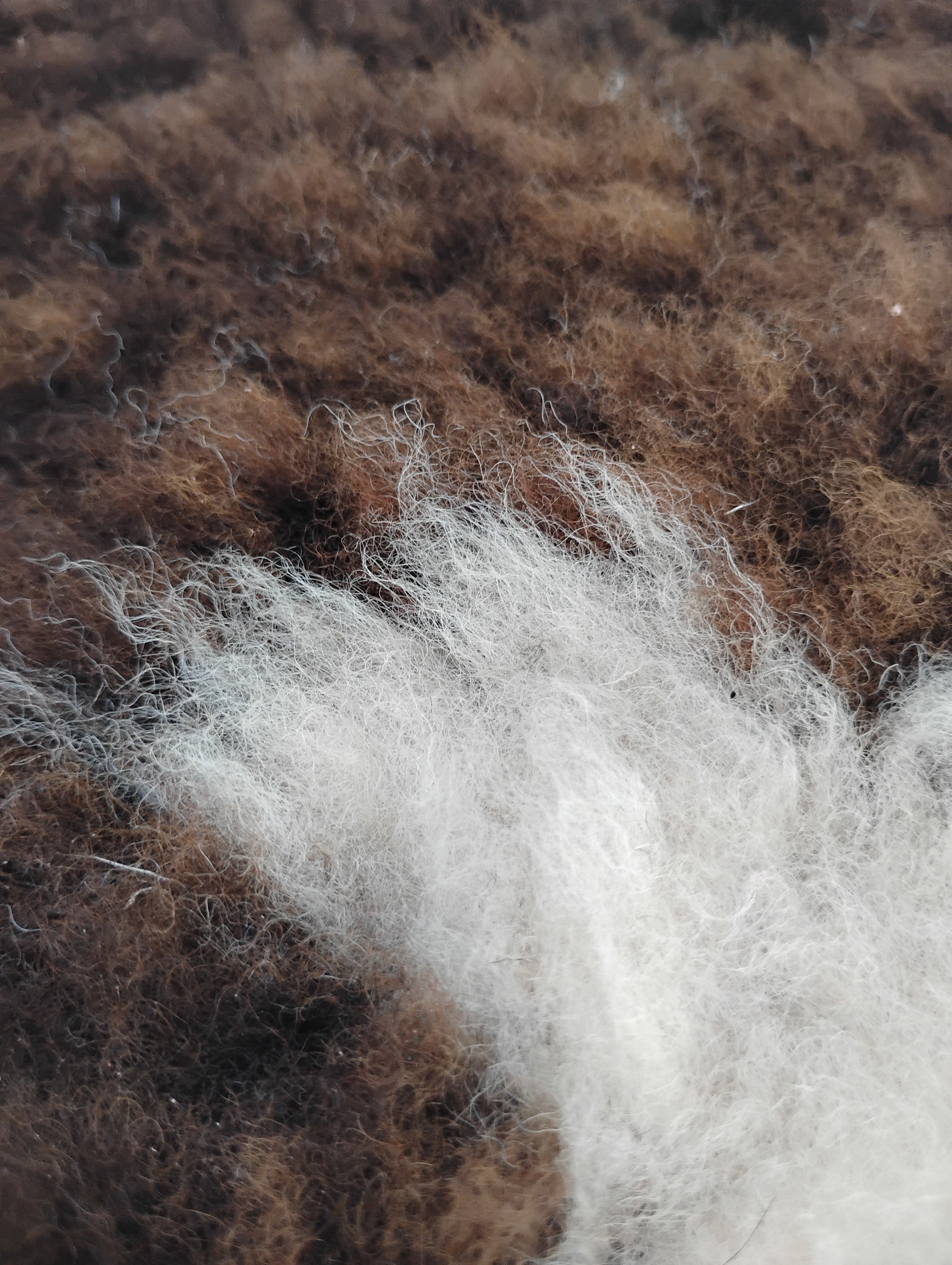 Bark tanned sheepskin 37 x 27 2 inch silky wool