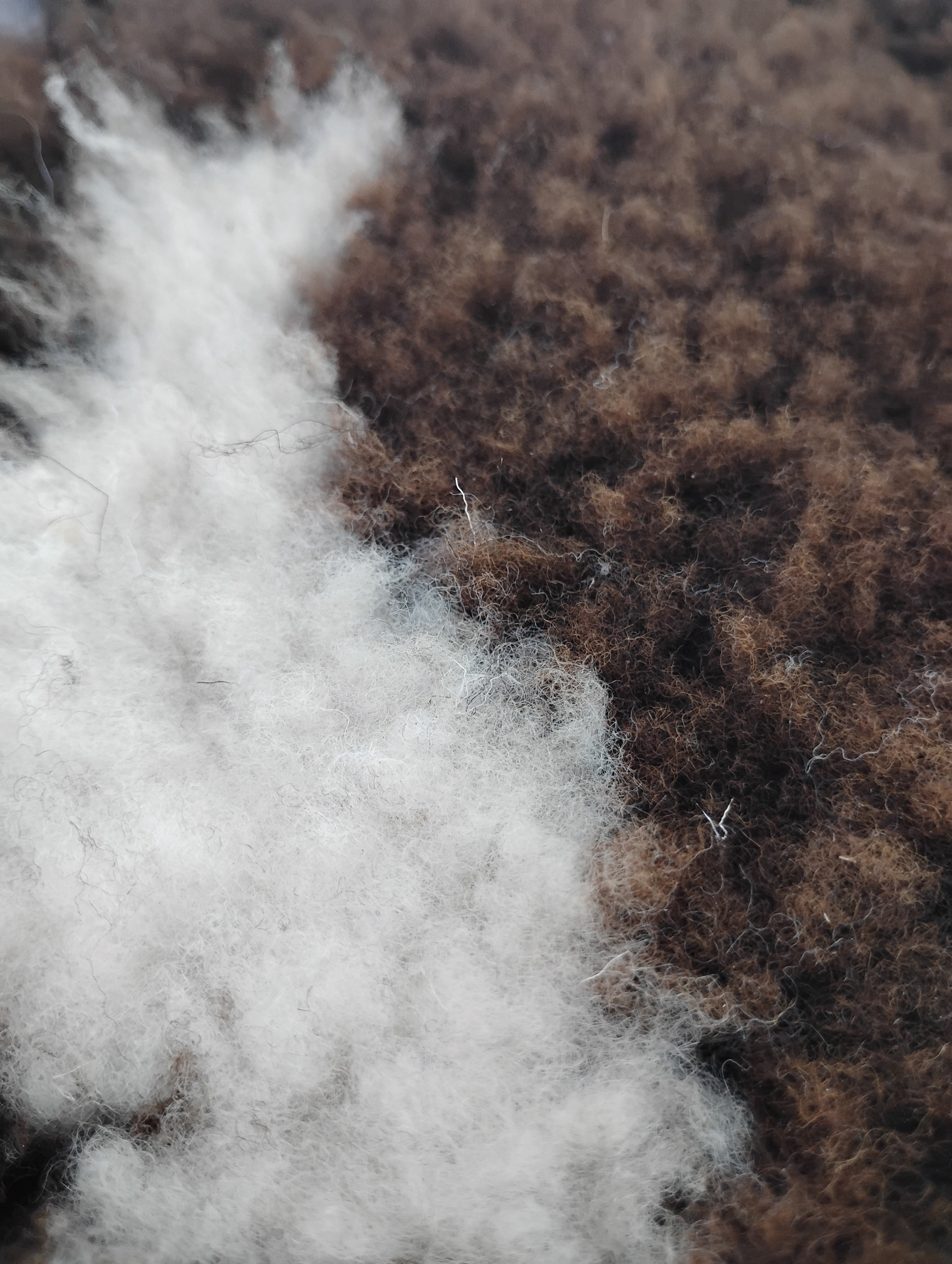 Bark tanned sheepskin 37 x 27 2 inch silky wool