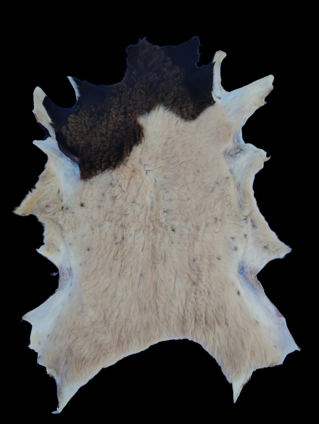 Bark tanned sheepskin 35 x 25 1 inch wool/hair