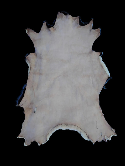 Bark tanned sheepskin 32 x 22 1 inch wool/hair