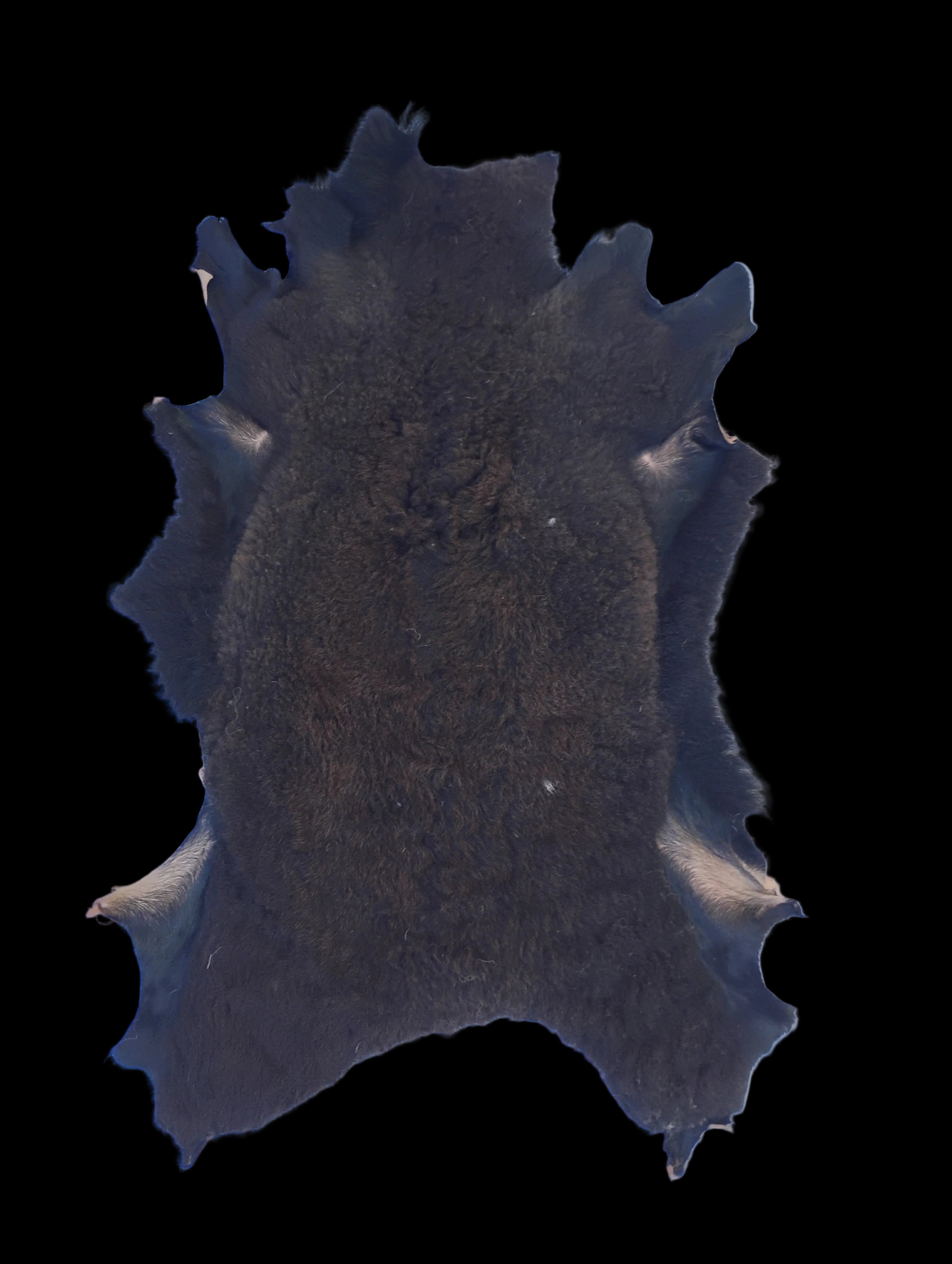 Bark tanned sheepskin 33 x 22 1 inch wool/hair
