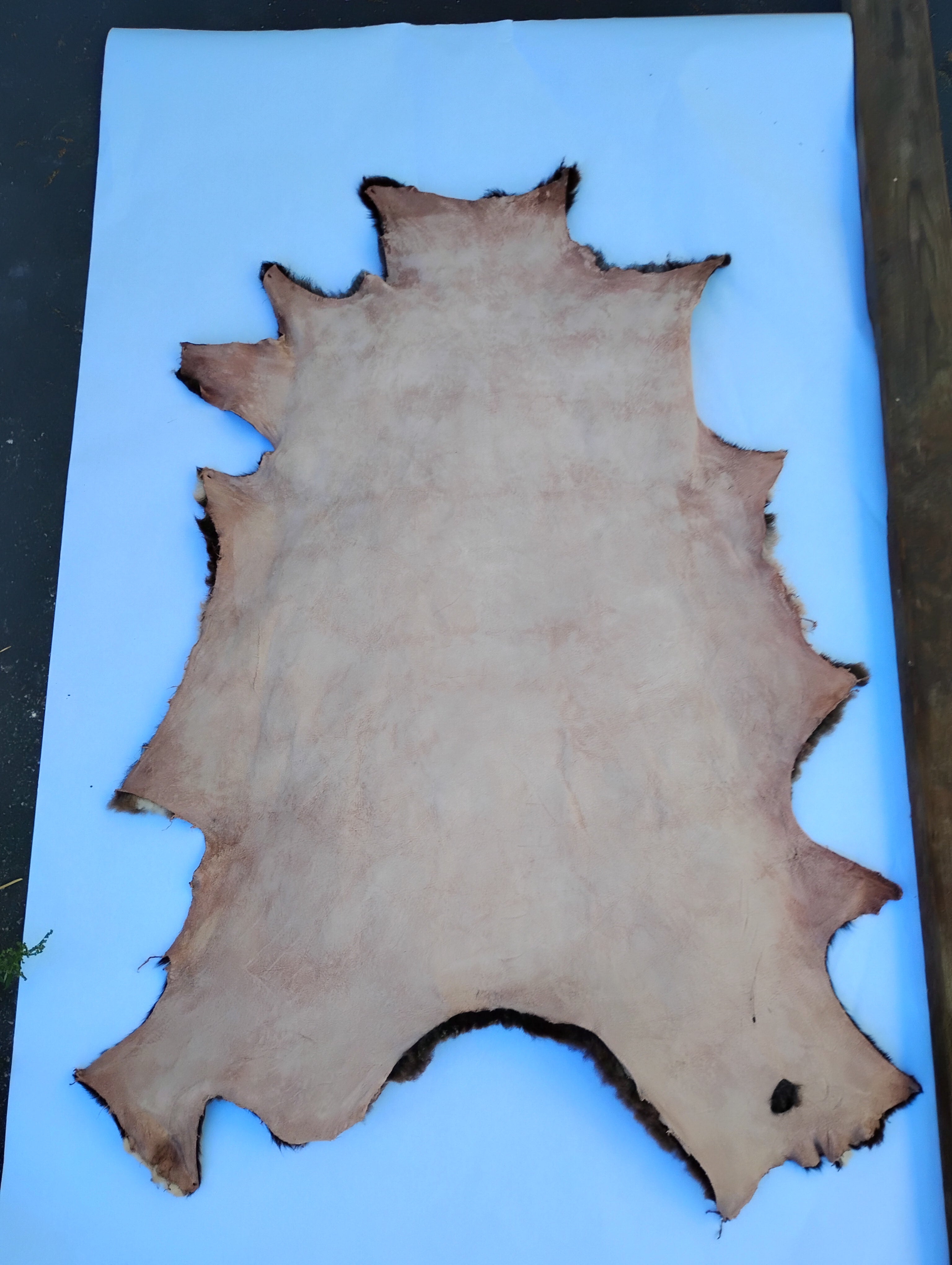 Bark tanned sheepskin 37 x 26 1 inch wool/hair