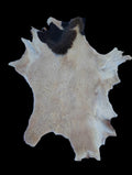 Bark tanned sheepskin 31 x 21 .5 inch wool/hair