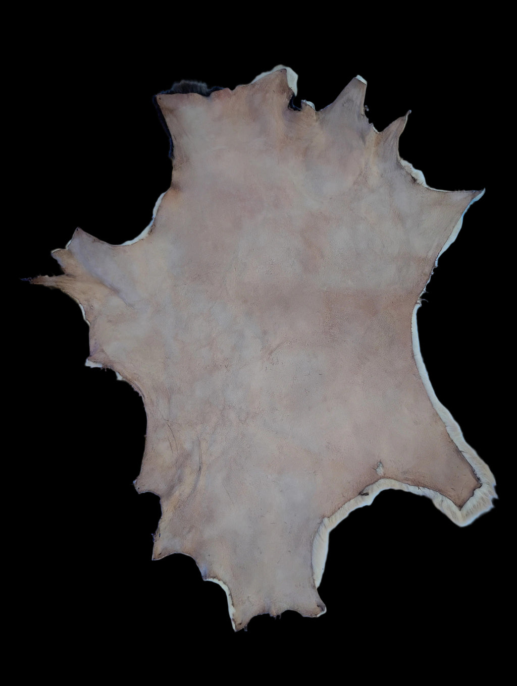 Bark tanned sheepskin 31 x 21 .5 inch wool/hair