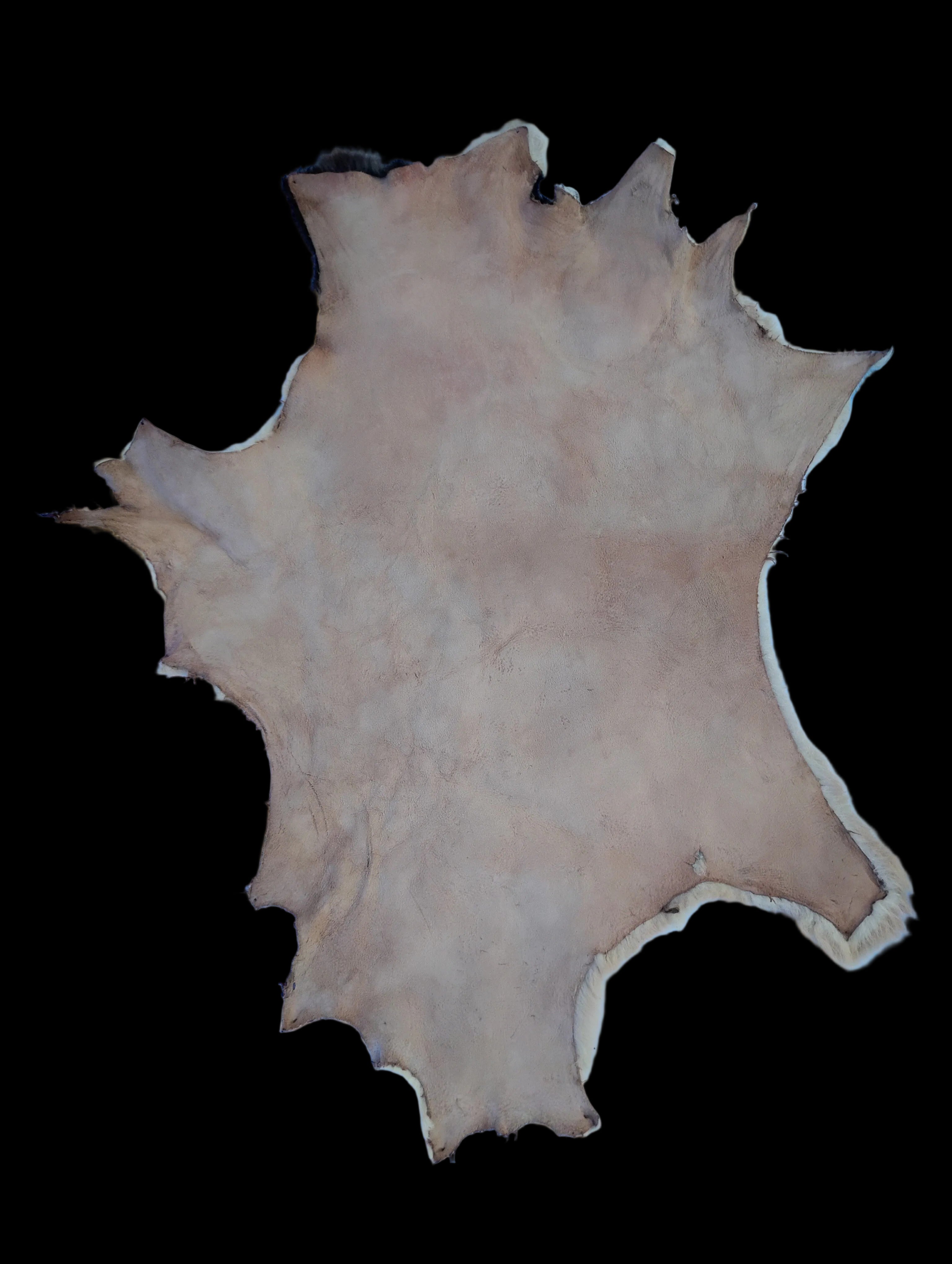Bark tanned sheepskin 31 x 21 .5 inch wool/hair