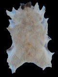Bark tanned sheepskin 37 x 23 1 inch wool/hair