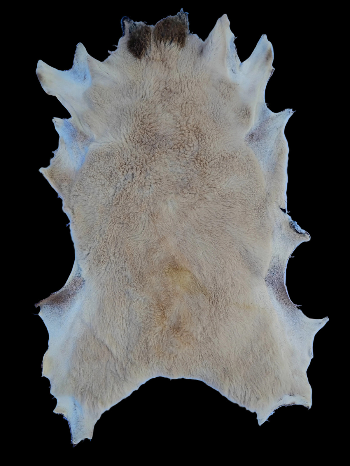 Bark tanned sheepskin 37 x 23 1 inch wool/hair