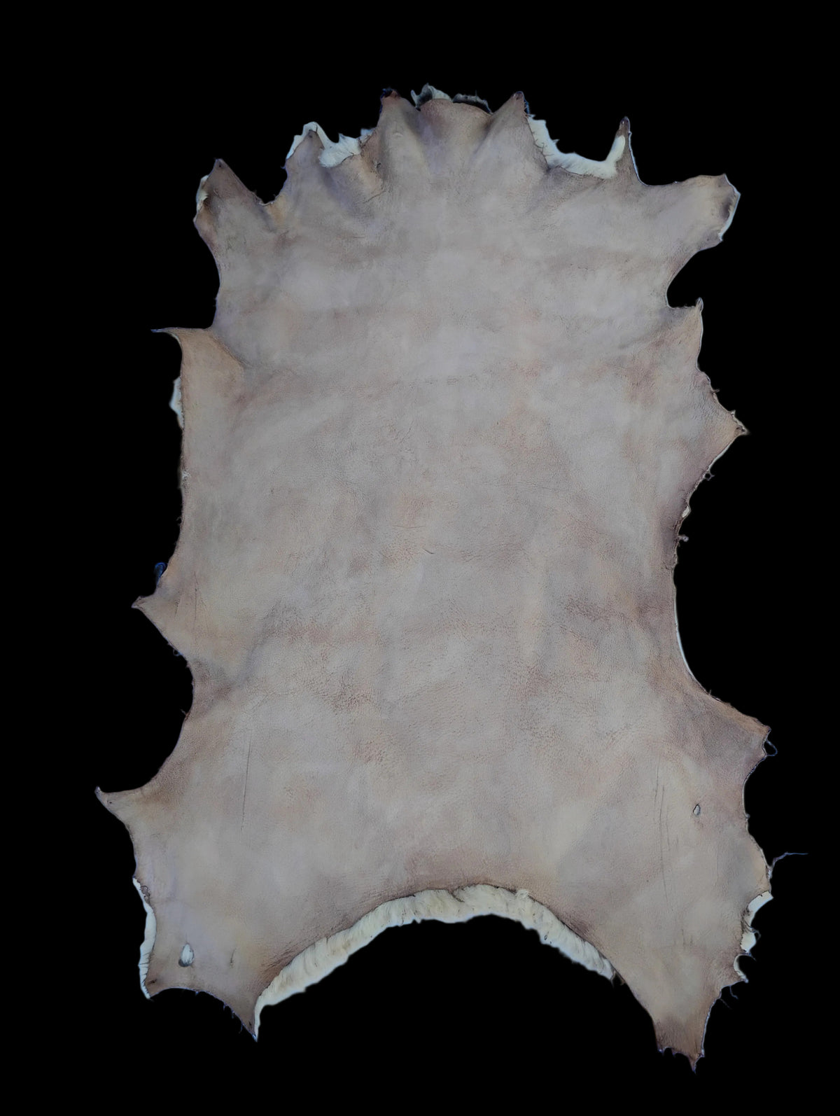 Bark tanned sheepskin 37 x 23 1 inch wool/hair