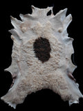 Bark tanned sheepskin 37 x 28 1 inch wool/hair