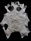 Bark tanned sheepskin 37 x 34 .25 inch wool/hair
