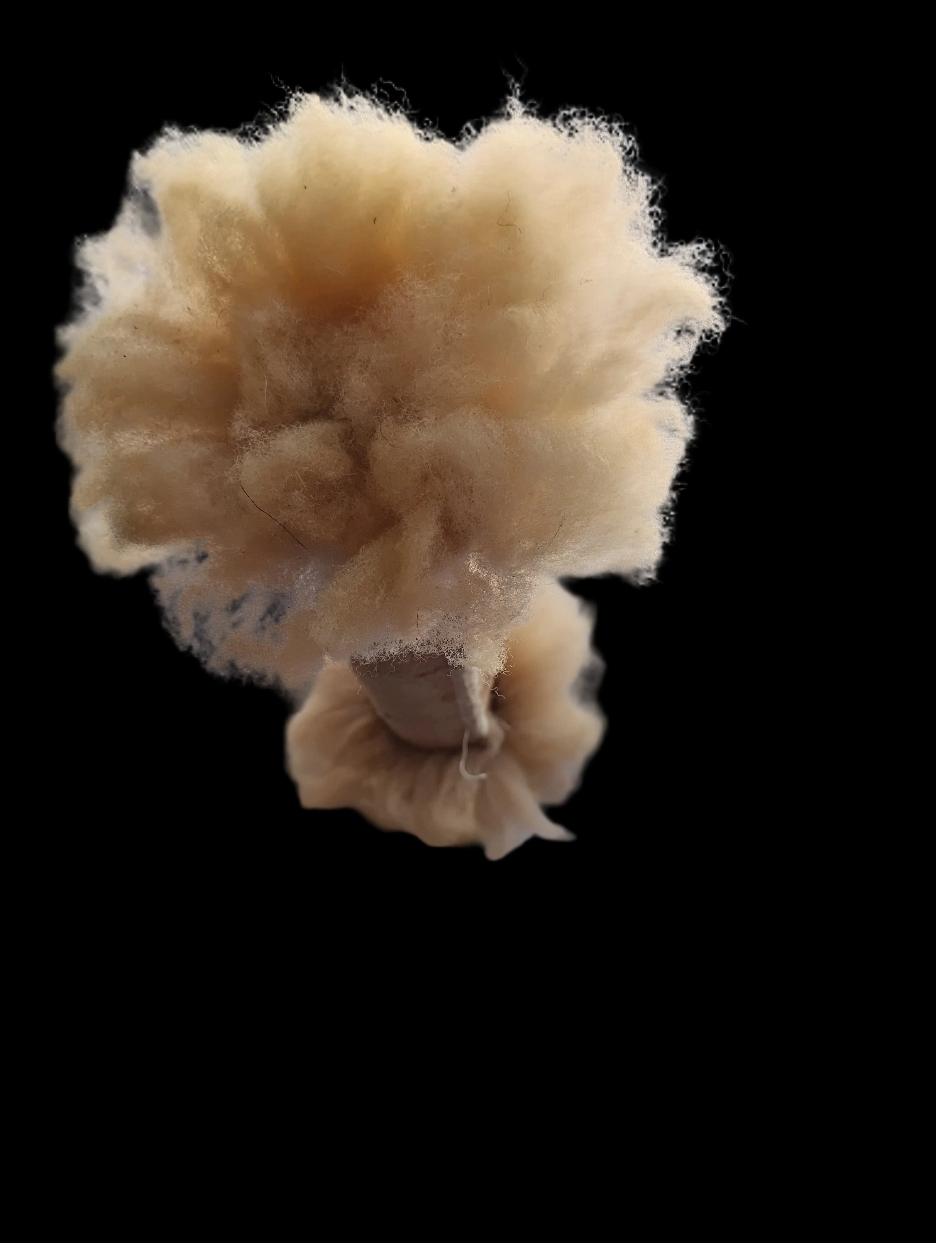 Bark Tanned Sheepskin Dog Toy 11 x2 inches