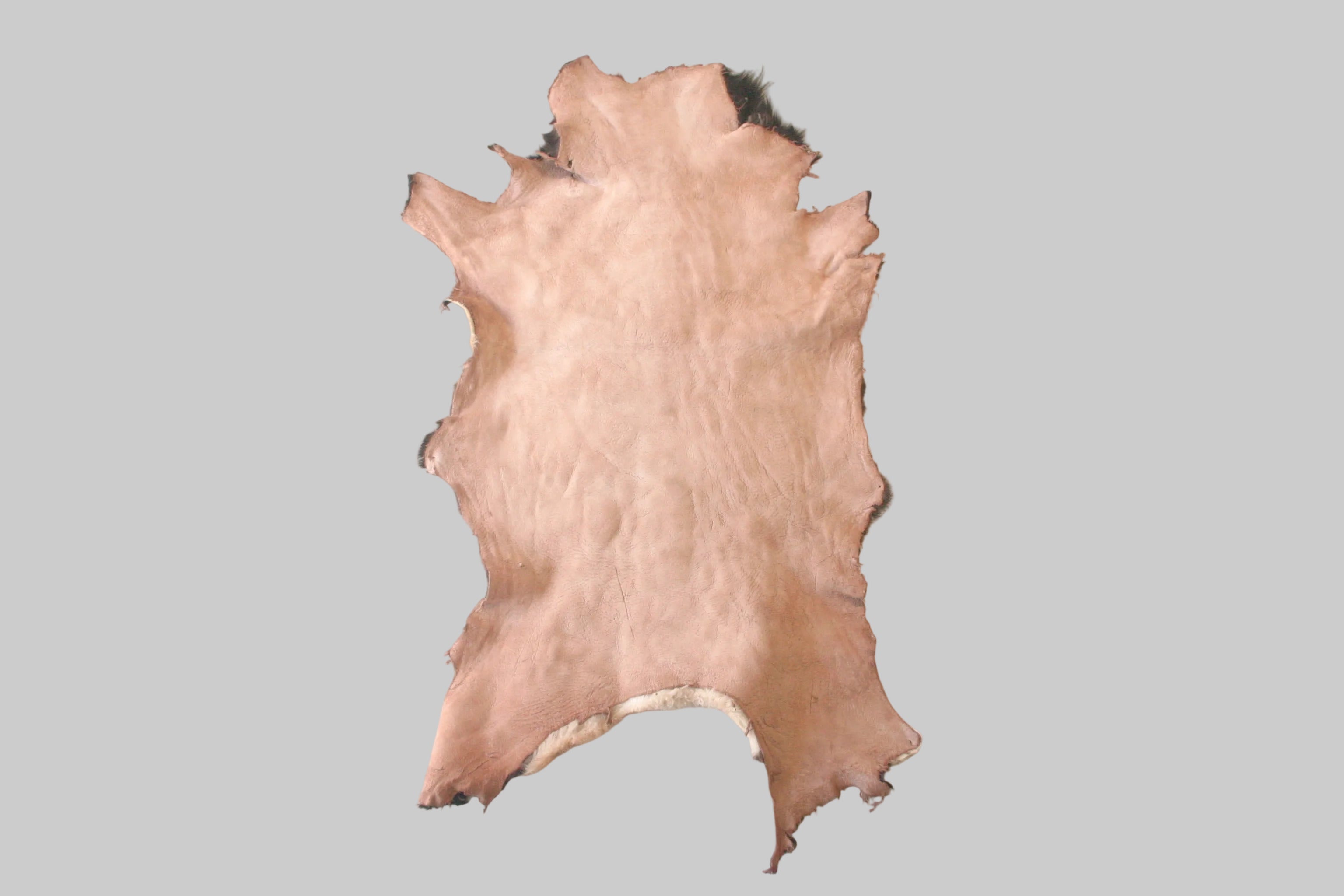 Brown animal skin on a white surface