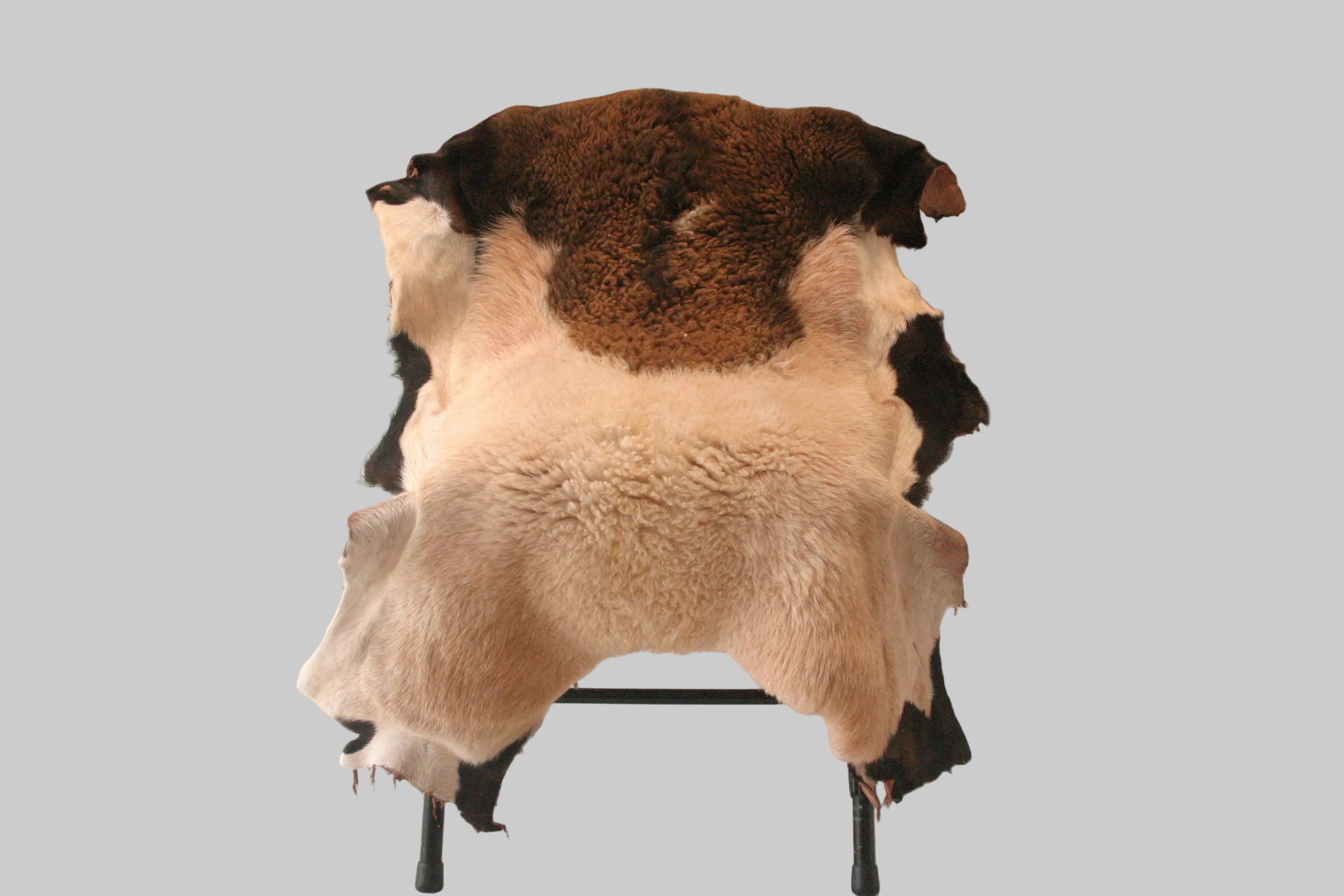 Whole sheepskin 39x24 / 1 inch fiber