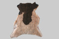 brown fur on a gray background