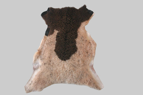 brown fur on a gray background