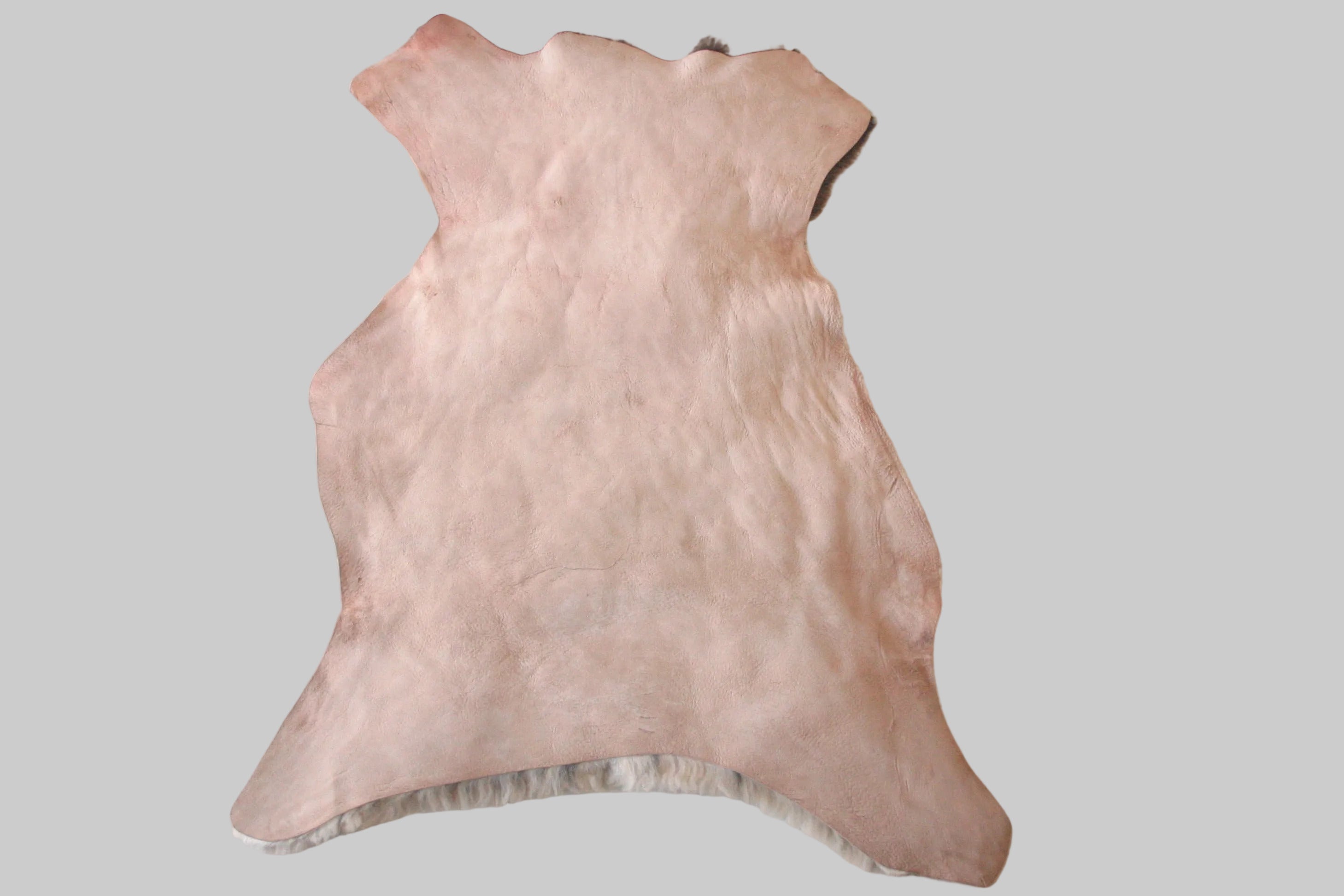 leather hide on a white background