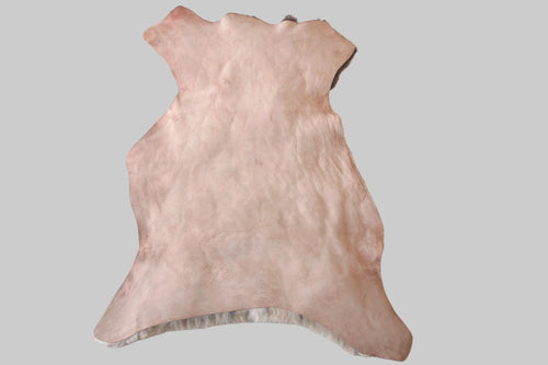 leather hide on a white background