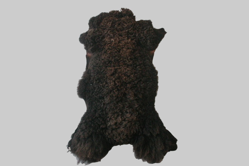 Dark brown dog rug on a light gray floor