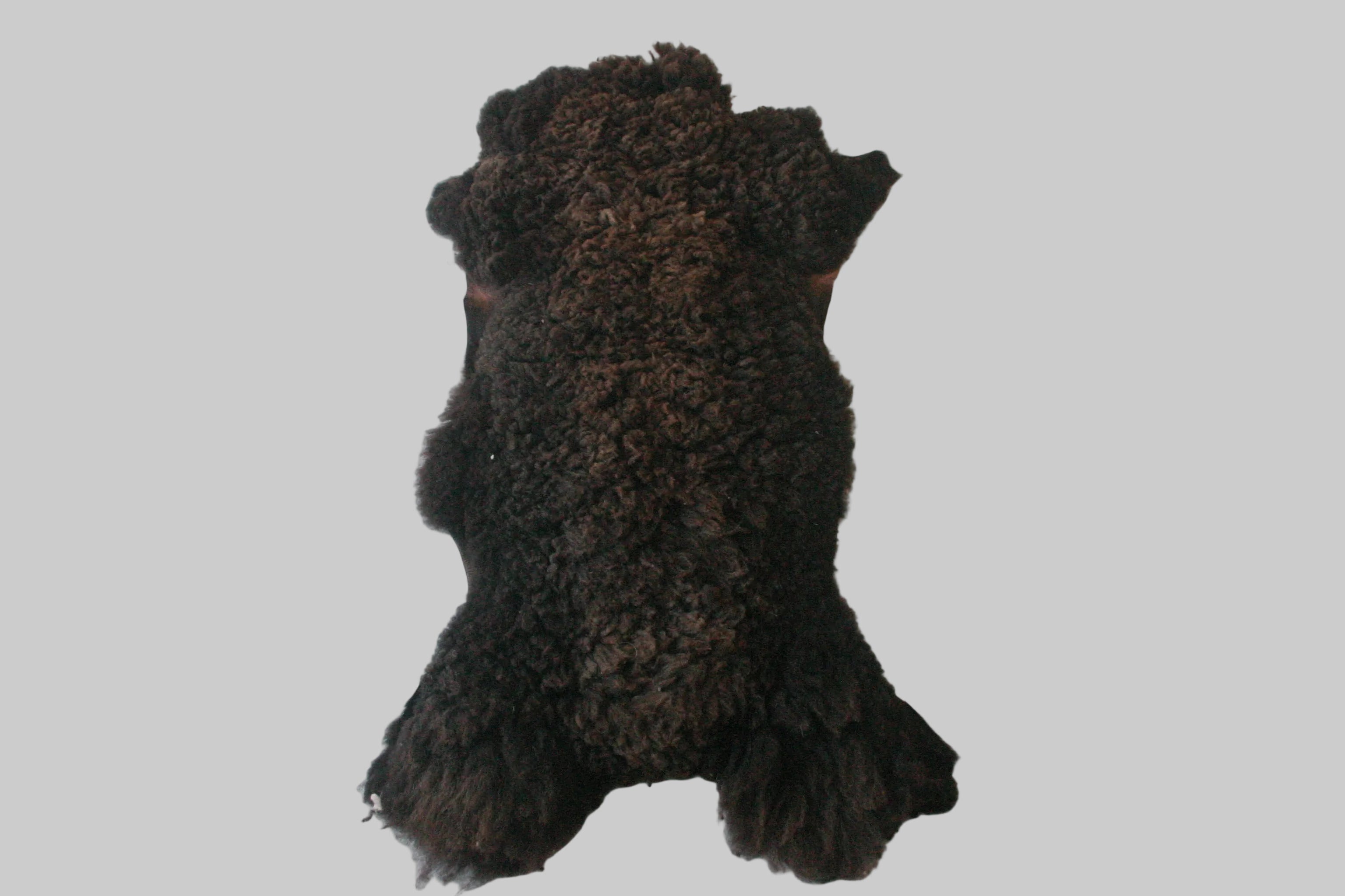 Dark brown dog rug on a light gray floor
