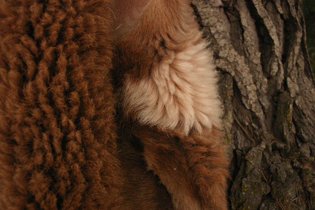 Natural Sheepskin Vest — British Army Jerkin Style