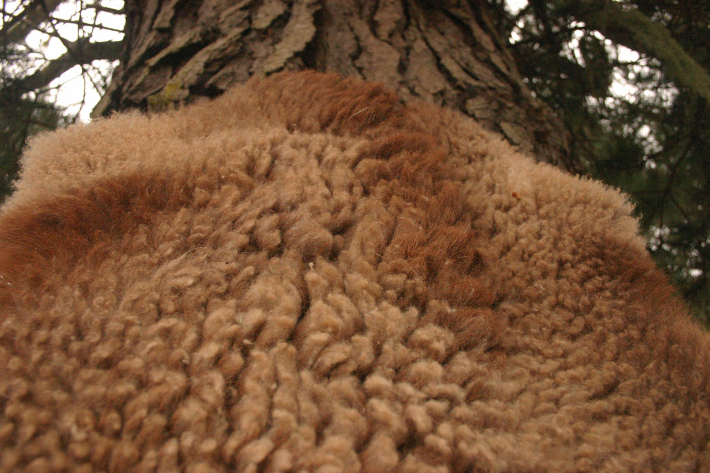 Natural Sheepskin Vest — British Army Jerkin Style
