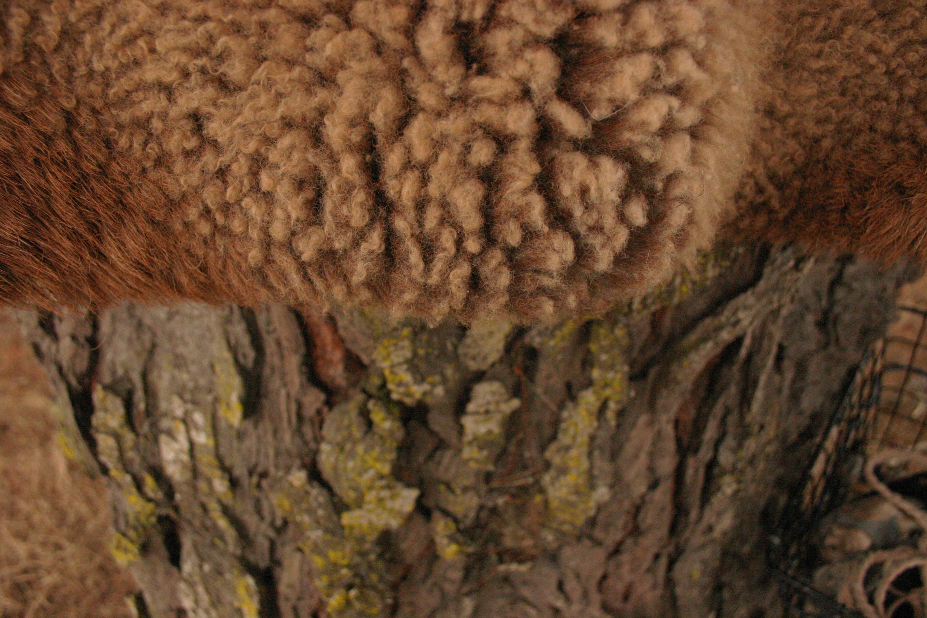Natural Sheepskin Vest — British Army Jerkin Style