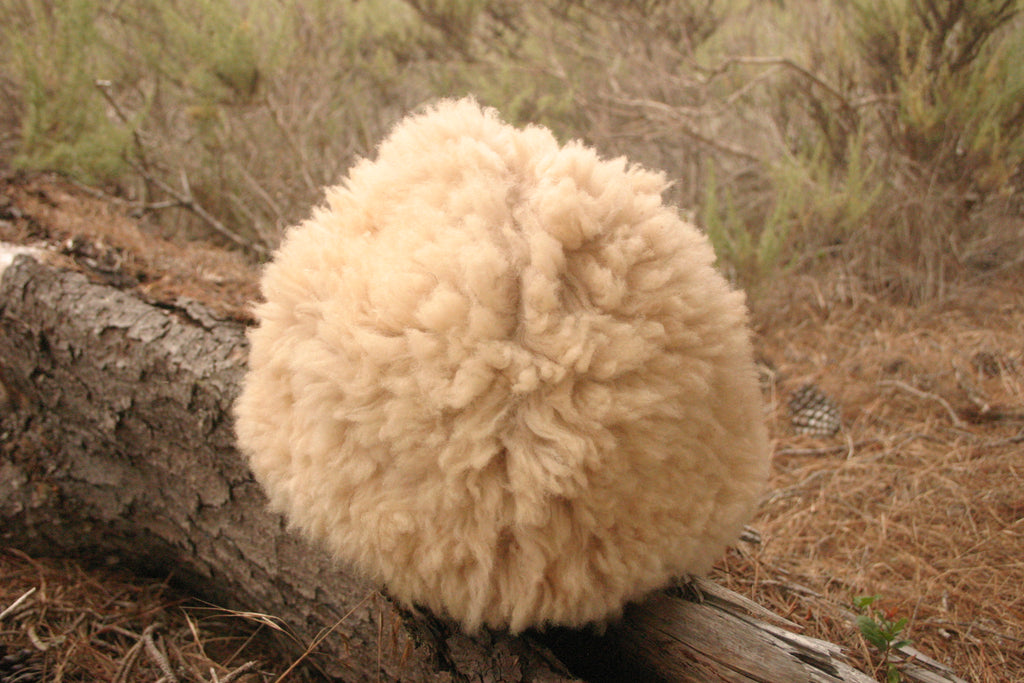 Classic hat Medium, fits