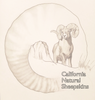 California Natural Sheepskins - Home