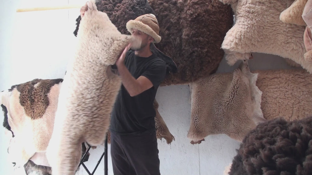 Whole sheepskin 44 x 30 / 2 inch fiber