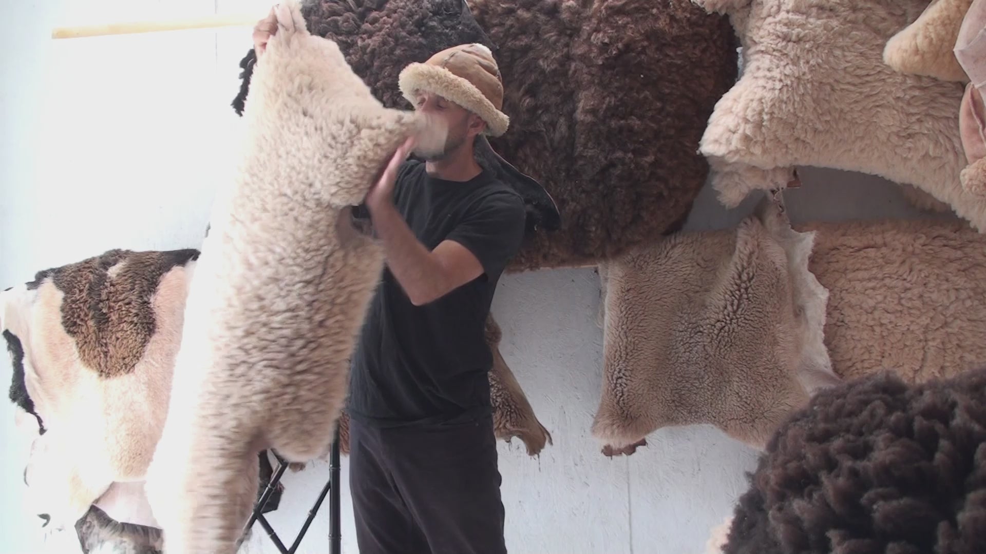 Whole sheepskin 44 x 30 / 2 inch fiber